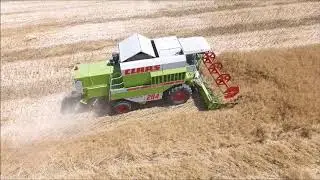 Claas 204 Mega Cutting Oilseed Rape.