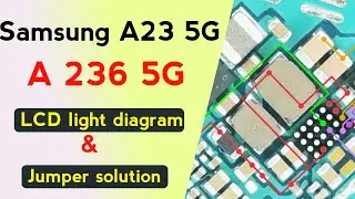 Samsung A13 5G A236 LCD Light Diagram | Display Backlight Problem Solution