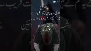 19 ramzan shabe zarbat mola Ali a.s #shorts #ytshorts #viralshorts