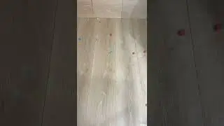 Bouncy Ball Reverse Video #shorts