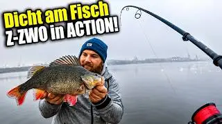 FETTER Winter Barsch in BREMEN an der WESER! Dicht am Fisch Z-Zwo eingeweiht! #angeln #weser #bremen