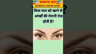 TOP GK QUESTIONS | GK IN HINDI | GK QUIZ | #gk #gkquiz