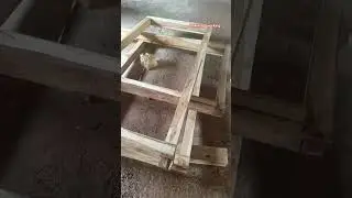 saguan chaukhat making #trending #chaukhat #saguan