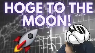 Hoge Finance Going to the Moon!