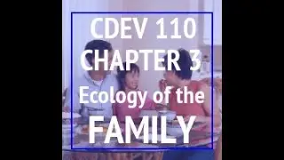 CDEV 110 CH3 Ecology of the Family