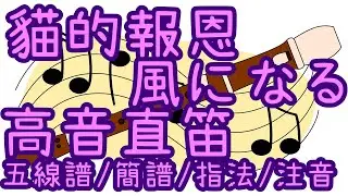 【高音直笛教學】 風になる 五線譜/簡譜/指法/注音  [日本動畫/流行樂] 國小直笛 高音直笛譜 幻化成風 猫の恩返し 貓的報恩 つじあやの 辻亞彌乃