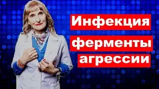 постулат #181 инфекция ферменты агрессии