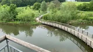 Zugwiesen Neckar Ludwigsburg