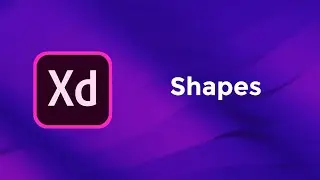 Shapes - Adobe Xd Basics Course