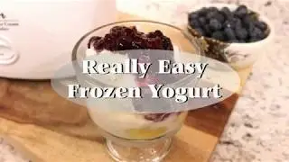 How to make frozen yogurt with a cuisinart ice cream maker