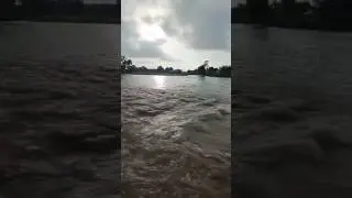 Latest situation of flood relay from Manchinabad bridge منچن آباد to Sutlej River this Evening