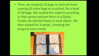 Effect Of Acid Rain On Germinating Seeds