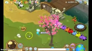 Animal Jam: RARE GIVEAWAY