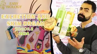 بيولوجي 2 ثانوي لغات ترم 2 محاضرة1 |💆‍♀️ Excretion in human & Skin organ | محاضرة العنايه بالبشره😅|