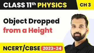 Class 11 Physics Chapter 3 | Object Dropped from a Height - Motion in a Straight Line
