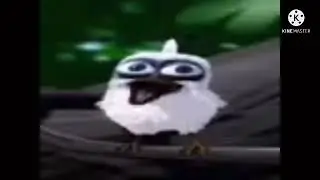 10 HOURS of a bird screaming....