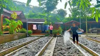 Together Dig the soil, sprinkle lime to disinfect, prepare for the new crop. Hard but peaceful