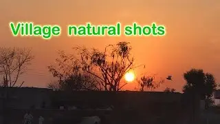 Village life | vilage vlog village life in pakistan @expertvillage gaon ki zindgi#sunsetview