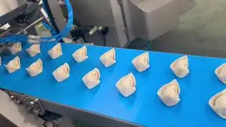 【Fresh Shrimp Wonton】#wontonmakingmachine#wonton#WHP#frozenfood#CPwonton#馄饨