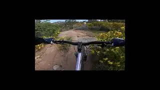 Hechando bici en un bike park de Australia! #mtb #hardtail #ciclismocolombiano #australia #mountain