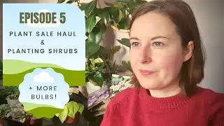 Ep5: January plant sale haul | Planting shrubs and MORE spring bulbs