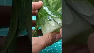 Карвинг из Огурца и Моркови. Прекрасный цветок для украшения стола