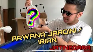 Review Ikan Arwana Jardini Hasil Dari Pasar Hewan Jatinegara !!! #AYVLOG09
