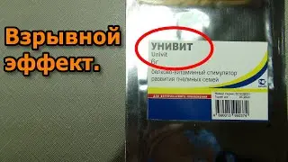 Белковая подкормка пчёл ранней весной.