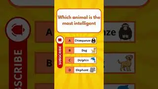 Which animal is the most intelligent? #usaquiz #funquiz #brainteaser #usafacts