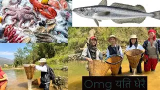एति धेरै मछा#officialchannel #subscribe #viral #vlog #love
