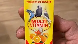 Beste multivitamin F&uuml;r Vogel 🐦 #multivitamin#saskia #mineralwater#budgies#powerful#shorts