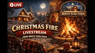 Orthodox Family Christmas Fire