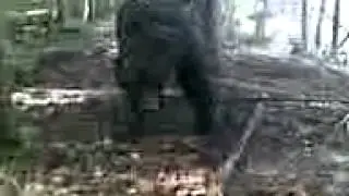 Охота