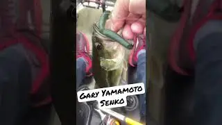 Gary Yamamoto Doin The Work