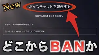 【新機能】PS5のパーティ通報でBANの基準を探ってみた