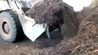 Environment Care - What we do