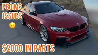 I SPENT $2000 IN PARTS ON MY F80 M3!