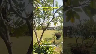 Your Peaceful Farmhouse Escape Awaits | Luxury Farmhouse Plots in Sector 150 Noida | Call 9315785121