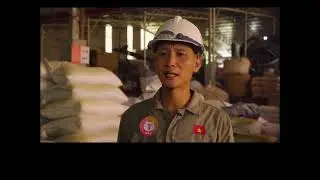T-CAT - Nh&agrave; m&aacute;y sản xuất c&aacute;t m&egrave;o h&agrave;ng đầu tại Việt Nam