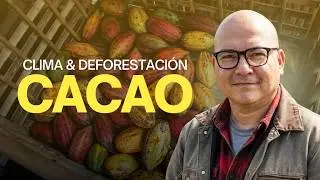 Fernando Troya: 📡 Predicciones Clim&aacute;ticas para el Agro: &iquest;Son fiables?