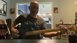 My Peavey Foundation Bass Guitar turns 40!
