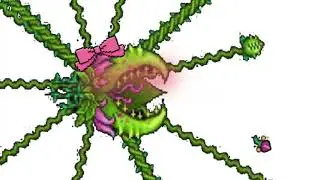 Terraria Jungle Type Beat