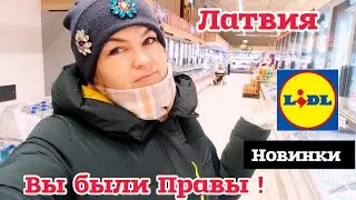 Латвия Зашла в Lidl а там Новинки 🔥 Вы Были Правы! Врач нашла в чем дело Она убежала! #рекомендации