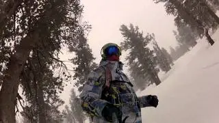 running into a tree