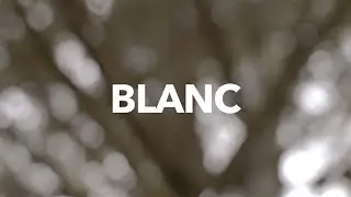 BLANC | East Coast Mountain Biking | 2016 | HD MTB Film