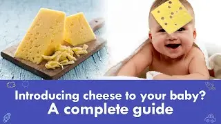 Introducing cheese to your baby? A complete guide