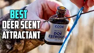 Best Deer Scent Attractant in 2026- Top 5 Review
