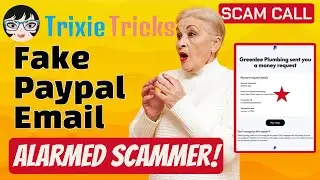 PayPal Scam Backfires! 😂 | Trixie Tricks Scammers