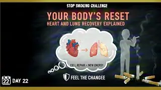 Stop Smoking Challenge Day 22: Your Body's Reset. Heart and Lung Recovery Explained