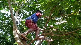 Survival skills / ant hunting
